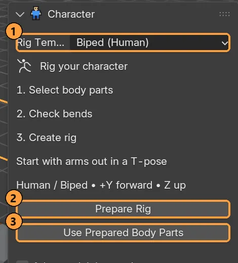 The Character panel for a library character