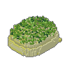 Outcrop