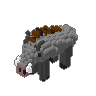 Boar