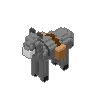 Donkey