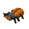 Beetle