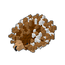 Hedgehog