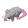 Rat
