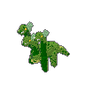 Hydra