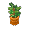 Plant Pot
