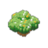 Bush