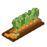 Carrot Row