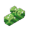 Hedge 02