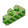 Hedge 03