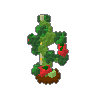 Tomato Plant