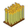Wheat 03