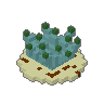 Agave 01
