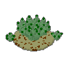 Agave 03