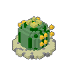 Barrel Cactus 01