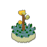 Century Plant 02