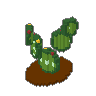 Prickly Pear 02