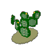 Prickly Pear 03