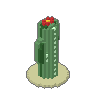Saguaro 02