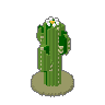 Saguaro 03