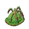 Berry Thicket