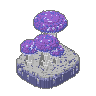 Cave Mushrooms