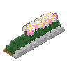 Daisy Border 03