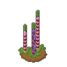 Foxglove 03