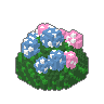 Hydrangea 03