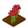 Poppy Field 01