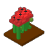 Poppy Field 02