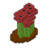 Poppy Field 03
