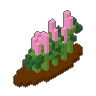 Tulip Row 03