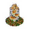 Bracket Fungus