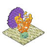 Coral 02