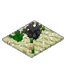 Sea Urchins