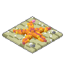 Starfish