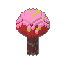 Cherry 02