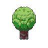 Oak 01