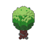 Oak 02