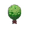 Oak 03
