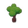 Oak 04