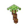 Palm 01