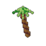 Palm 02