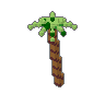 Palm 03