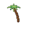 Palm 04