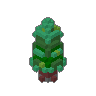 Pine 01