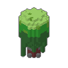 Willow 01