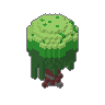Willow 02