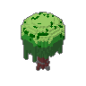 Willow 03