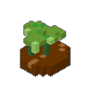 Bracken 01